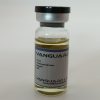 a vial of TNE 20 also known as Testosterone No Ester 20mg injectable by VGL vanguard labs
