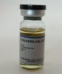 a vial of TNE 20 also known as Testosterone No Ester 20mg injectable by VGL vanguard labs