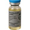 Clear glass vial containing injectable Sustanon 250 solution with sealed cap and label.