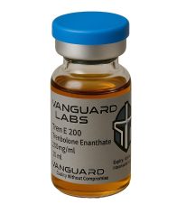 Clear glass vial containing injectable Tren Enanthate 200 solution with sealed cap and label.