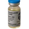 Clear glass vial containing injectable Test Enanthate 250mg solution with sealed cap and label.