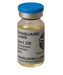 Clear glass vial containing injectable Test Enanthate 250mg solution with sealed cap and label.