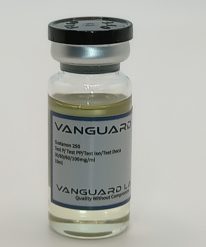 Clear glass vial containing injectable Sustanon 250 solution with sealed cap and label.