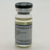 Clear glass vial containing injectable Test Enanthate 250mg solution with sealed cap and label.