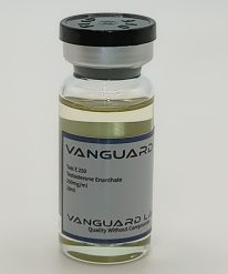 Clear glass vial containing injectable Test Enanthate 250mg solution with sealed cap and label.
